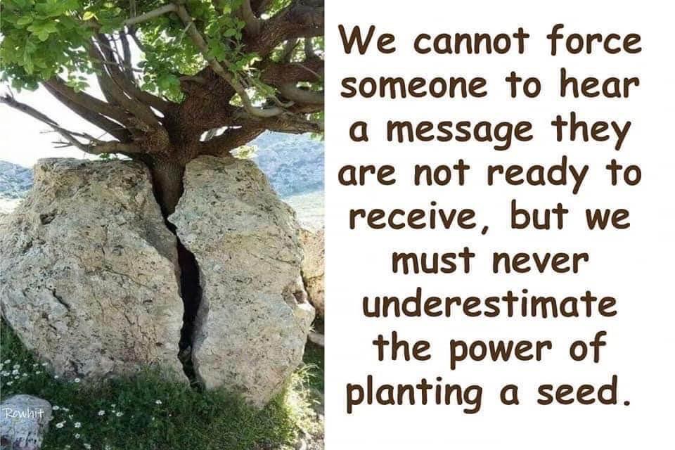 The Power of Planting A&nbsp;Seed